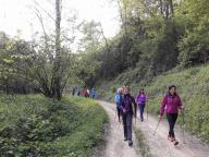 CAMMINATE IN TECNICA NORDIC WALKING