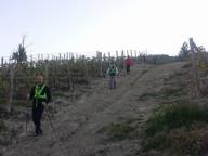 CAMMINATA IN NORDIC WALKING CON PAOLA R.