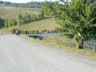 NORDIC WALKING A CASTELROCCHERO