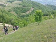 CAMMINATA IN NORDIC WALKING CON PAOLA R.