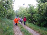 CAMMINATE IN TECNICA NORDIC WALKING