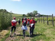 CAMMINATA IN TECNICA NORDIC WALKING