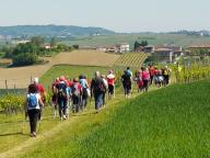 CAMMINATA IN TECNICA NORDIC WALKING