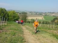 CAMMINATA IN TECNICA NORDIC WALKING CON NW SEPRIO