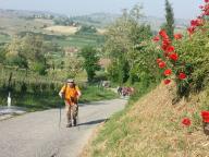 CAMMINATA IN TECNICA NORDIC WALKING CON NW SEPRIO