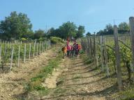 CAMMINATA IN TECNICA NORDIC WALKING CON NW SEPRIO