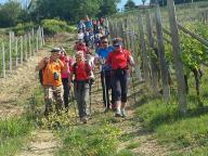 CAMMINATA IN TECNICA NORDIC WALKING CON NW SEPRIO