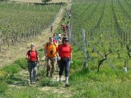 CAMMINATA IN TECNICA NORDIC WALKING CON NW SEPRIO