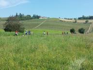 CAMMINATA IN TECNICA NORDIC WALKING CON NW SEPRIO