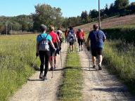 CAMMINATE IN TECNICA NORDIC WALKING