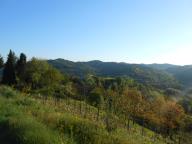 NORDIC WALKING A CASTELROCCHERO