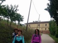 CAMMINATE IN TECNICA NORDIC WALKING