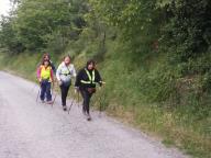 CAMMINATE IN TECNICA NORDIC WALKING