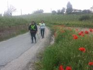 CAMMINATE IN TECNICA NORDIC WALKING