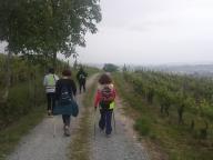 CAMMINATE IN TECNICA NORDIC WALKING