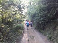 CAMMINATE IN TECNICA NORDIC WALKING