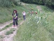 CAMMINATA IN NORDIC WALKING CON PAOLA R.