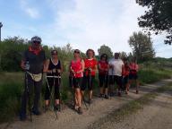 CAMMINATE IN TECNICA NORDIC WALKING