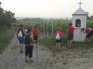 CAMMINATE IN TECNICA NORDIC WALKING