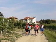 CAMMINATE IN TECNICA NORDIC WALKING