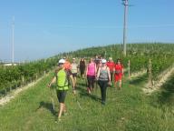 CAMMINATA CON VISITA ALLE DISTILLERIE BERTA 