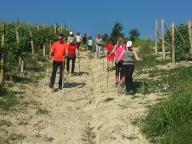 CAMMINATA CON VISITA ALLE DISTILLERIE BERTA 