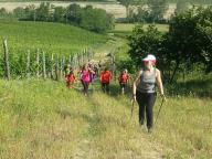 CAMMINATA CON VISITA ALLE DISTILLERIE BERTA 