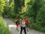 CAMMINATE IN TECNICA NORDIC WALKING