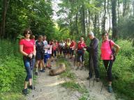 CAMMINATE IN TECNICA NORDIC WALKING