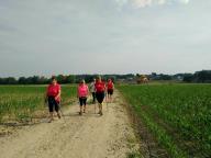 CAMMINATE IN TECNICA NORDIC WALKING