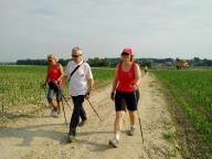 CAMMINATE IN TECNICA NORDIC WALKING