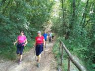 CAMMINATE IN TECNICA NORDIC WALKING