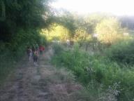 CAMMINATA IN NORDIC WALKING CON PAOLA R.