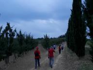 CAMMINATA IN NORDIC WALKING CON PAOLA R.