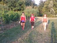 CAMMINATA IN NORDIC WALKING CON PAOLA R.