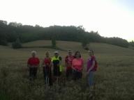 CAMMINATE IN NORDIC WALKING