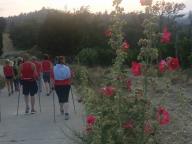 CAMMINATA IN NORDIC WALKING CON PAOLA R.