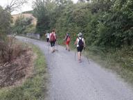 CAMMINATE IN TECNICA NORDIC WALKING