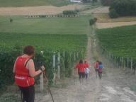 CAMMINATA IN NORDIC WALKING CON PAOLA R.