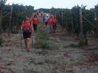 CAMMINATA IN NORDIC WALKING CON PAOLA R.