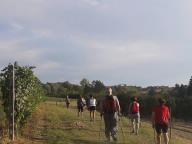 CAMMINATE IN TECNICA NORDIC WALKING