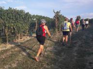 CAMMINATE IN TECNICA NORDIC WALKING