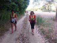 CAMMINATA IN TECNICA NORDIC WALKING CON PAOLA R.