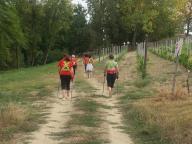 CAMMINATA IN TECNICA NORDIC WALKING CON PAOLA R.