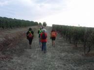 CAMMINATA IN TECNICA NORDIC WALKING CON PAOLA R.