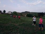 CAMMINATA IN TECNICA NORDIC WALKING