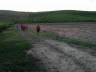 CAMMINATE IN TECNICA NORDIC WALKING