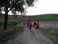 CAMMINATE IN TECNICA NORDIC WALKING