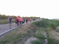 CAMMINATE IN TECNICA NORDIC WALKING