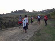 CAMMINATE IN TECNICA NORDIC WALKING